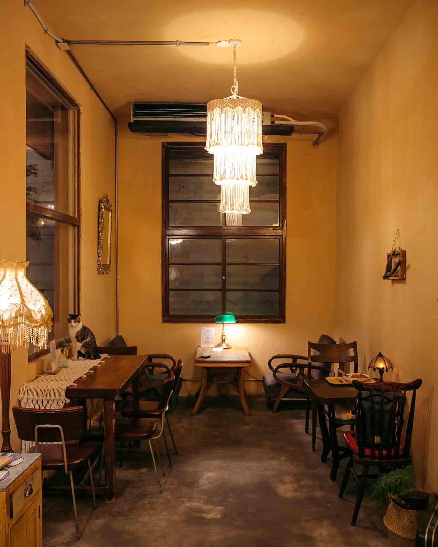 新竹美食-好巷 巷弄中的老宅咖啡廳！還有超多貓咪陪吃。